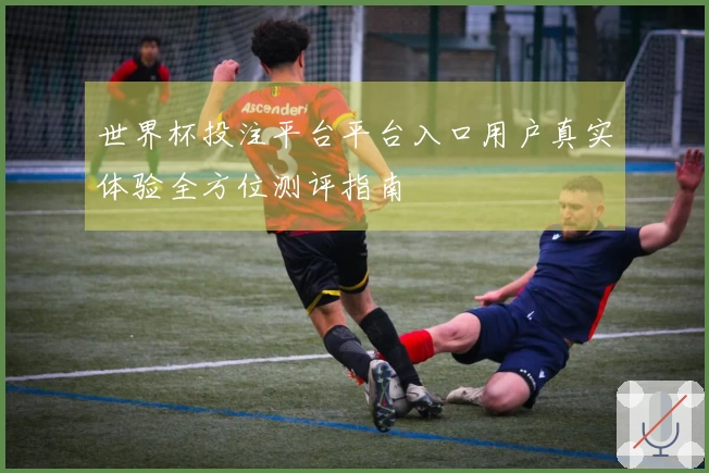 世界杯投注平台平台入口用户真实体验全方位测评指南