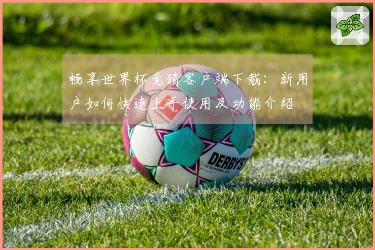 畅享世界杯竞猜客户端下载：新用户如何快速上手使用及功能介绍