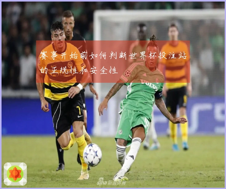 赛事开始前如何判断世界杯投注站的正规性和安全性