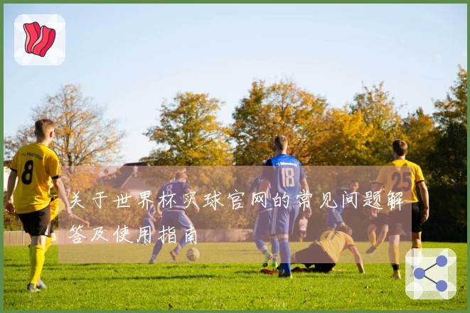 关于世界杯买球官网的常见问题解答及使用指南