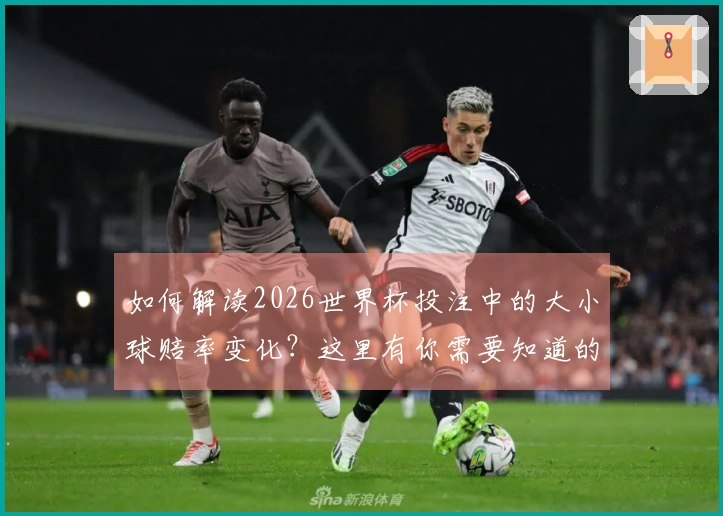 如何解读2026世界杯投注中的大小球赔率变化？这里有你需要知道的规则和技巧