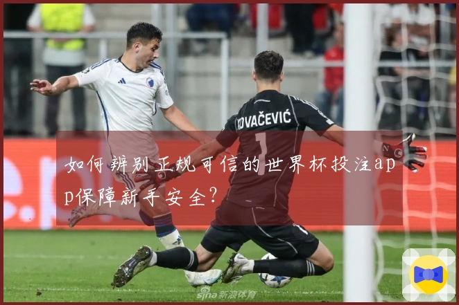 如何辨别正规可信的世界杯投注app保障新手安全？