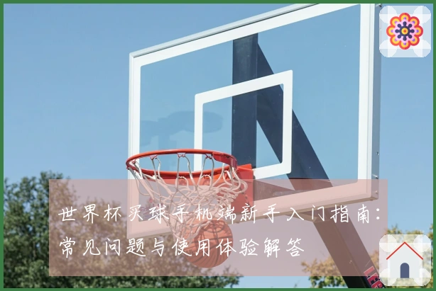 世界杯买球手机端新手入门指南：常见问题与使用体验解答