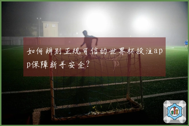 如何辨别正规可信的世界杯投注app保障新手安全？