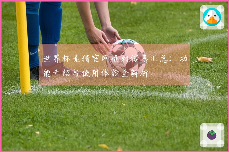 世界杯竞猜官网福利信息汇总：功能介绍与使用体验全解析