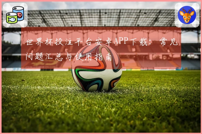世界杯投注平台安卓APP下载：常见问题汇总与使用指南