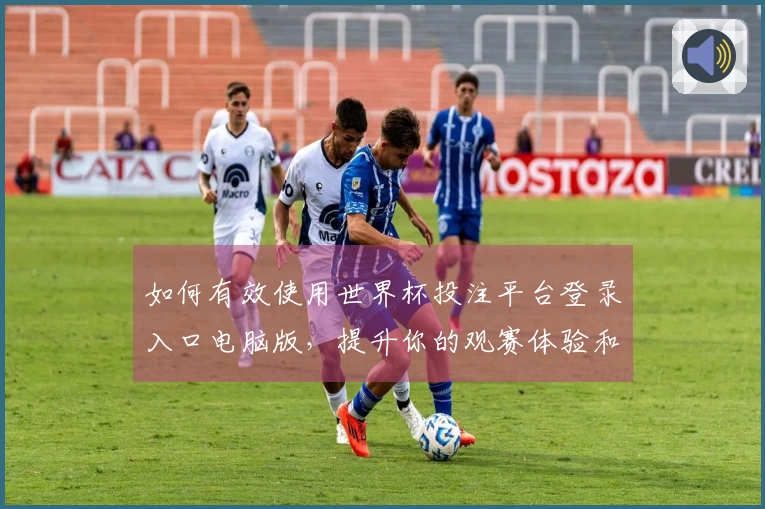 如何有效使用世界杯投注平台登录入口电脑版，提升你的观赛体验和操作便捷性