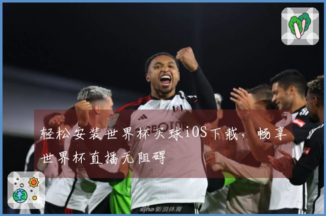 轻松安装世界杯买球iOS下载，畅享世界杯直播无阻碍