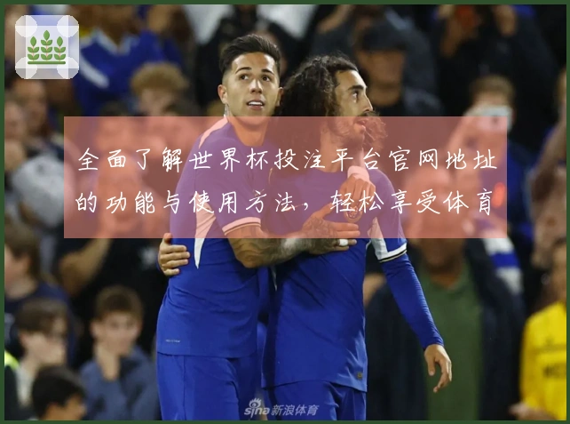 全面了解世界杯投注平台官网地址的功能与使用方法，轻松享受体育直播体验