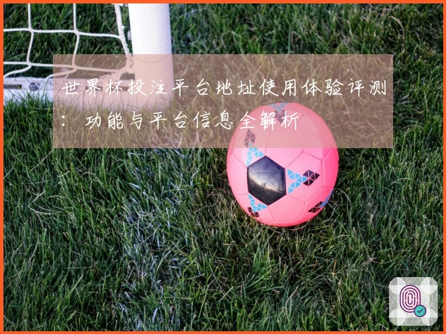 世界杯投注平台地址使用体验评测：功能与平台信息全解析