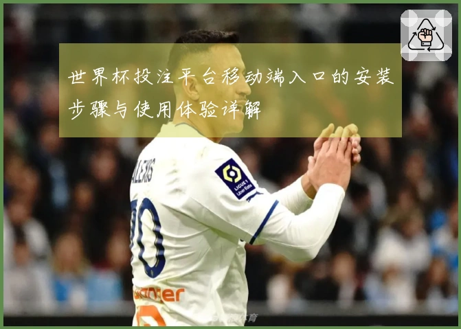 世界杯投注平台移动端入口的安装步骤与使用体验详解